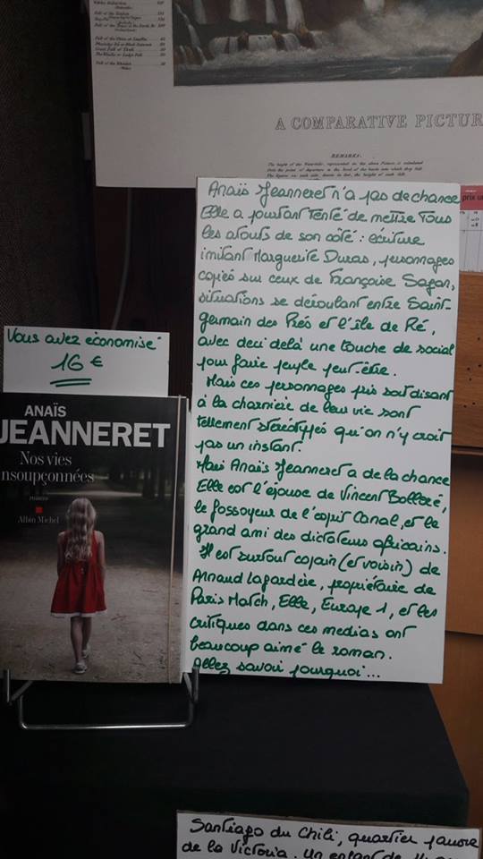 Un libraire critique le livre d'Anaïs Janneret, l'épouse de Bolloré. 