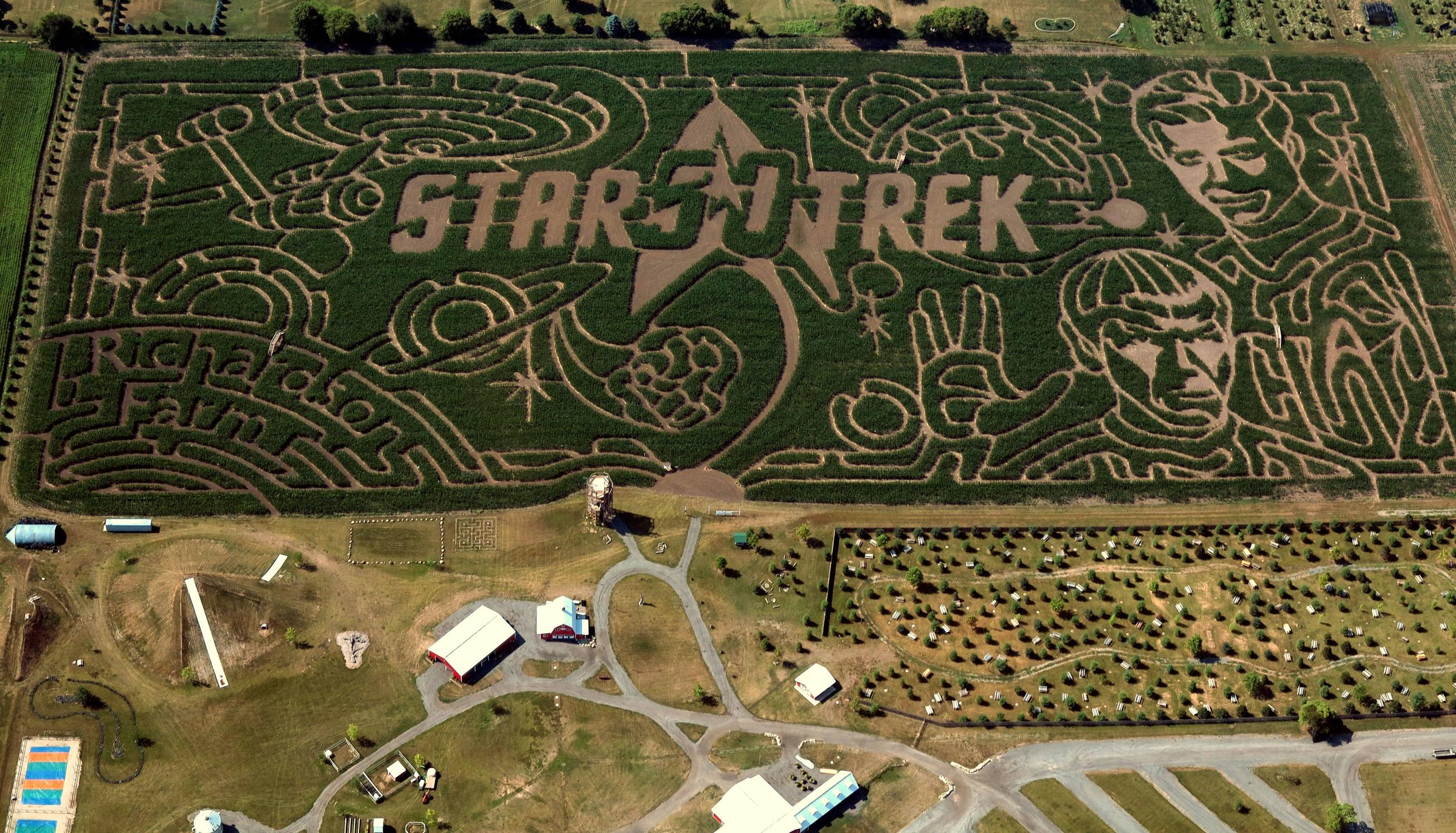 Un labyrinthe Star Trek dans un champ de maïs 