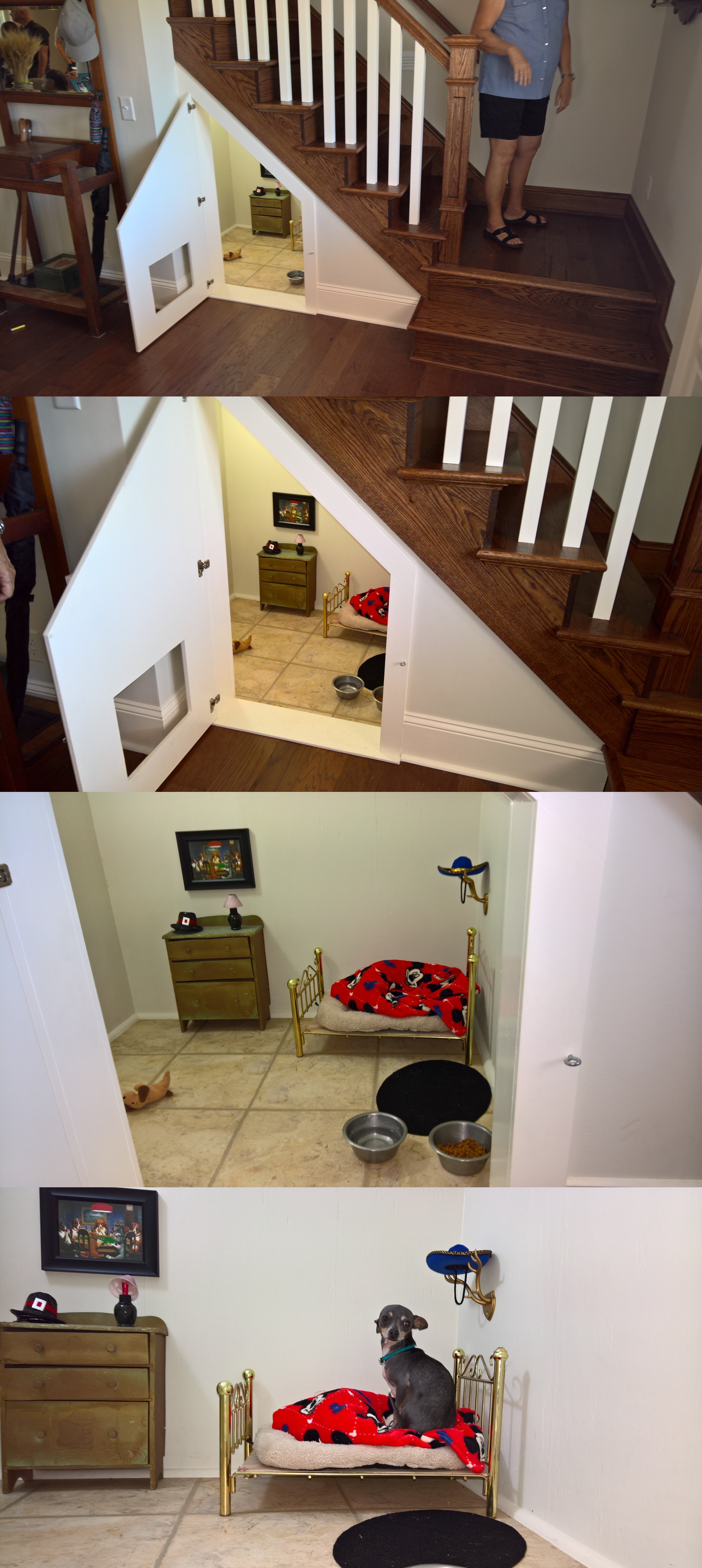 Un chihuahua avec une niche de luxe sous l'escalier