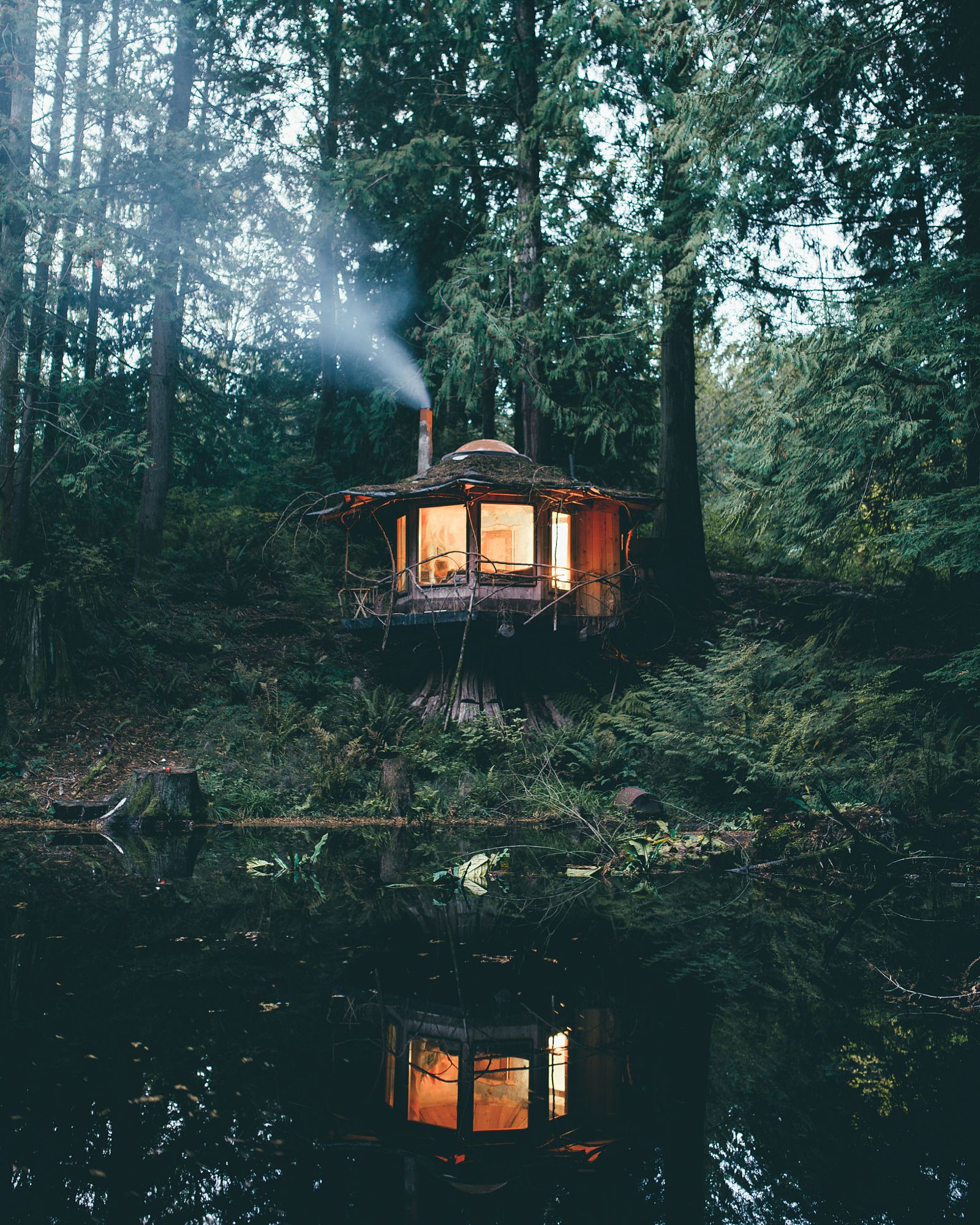 Une cabane dans les bois