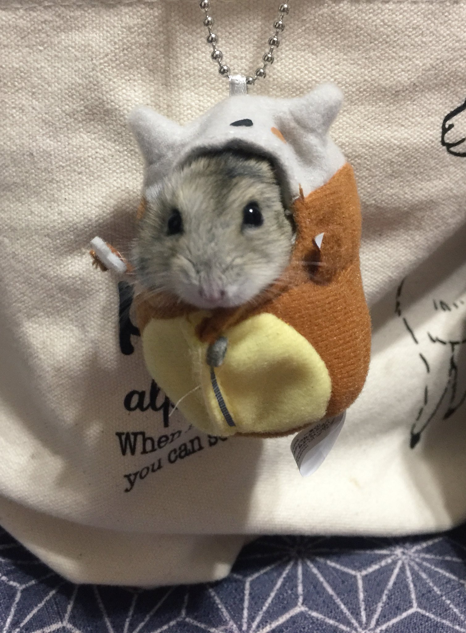 Un hamster dans son sac de couchage