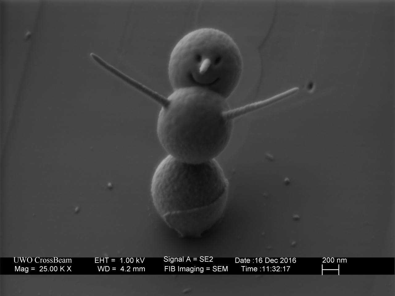 Le plus petit bonhomme de neige mesure 3 microns