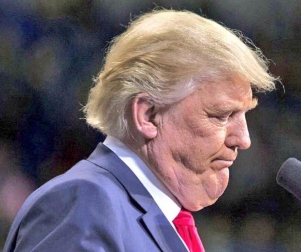 insolite donald menton trump