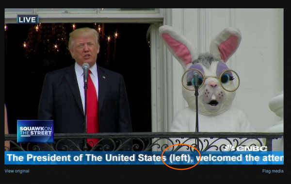 insolite cnbc donald gauche lapin president titre trump