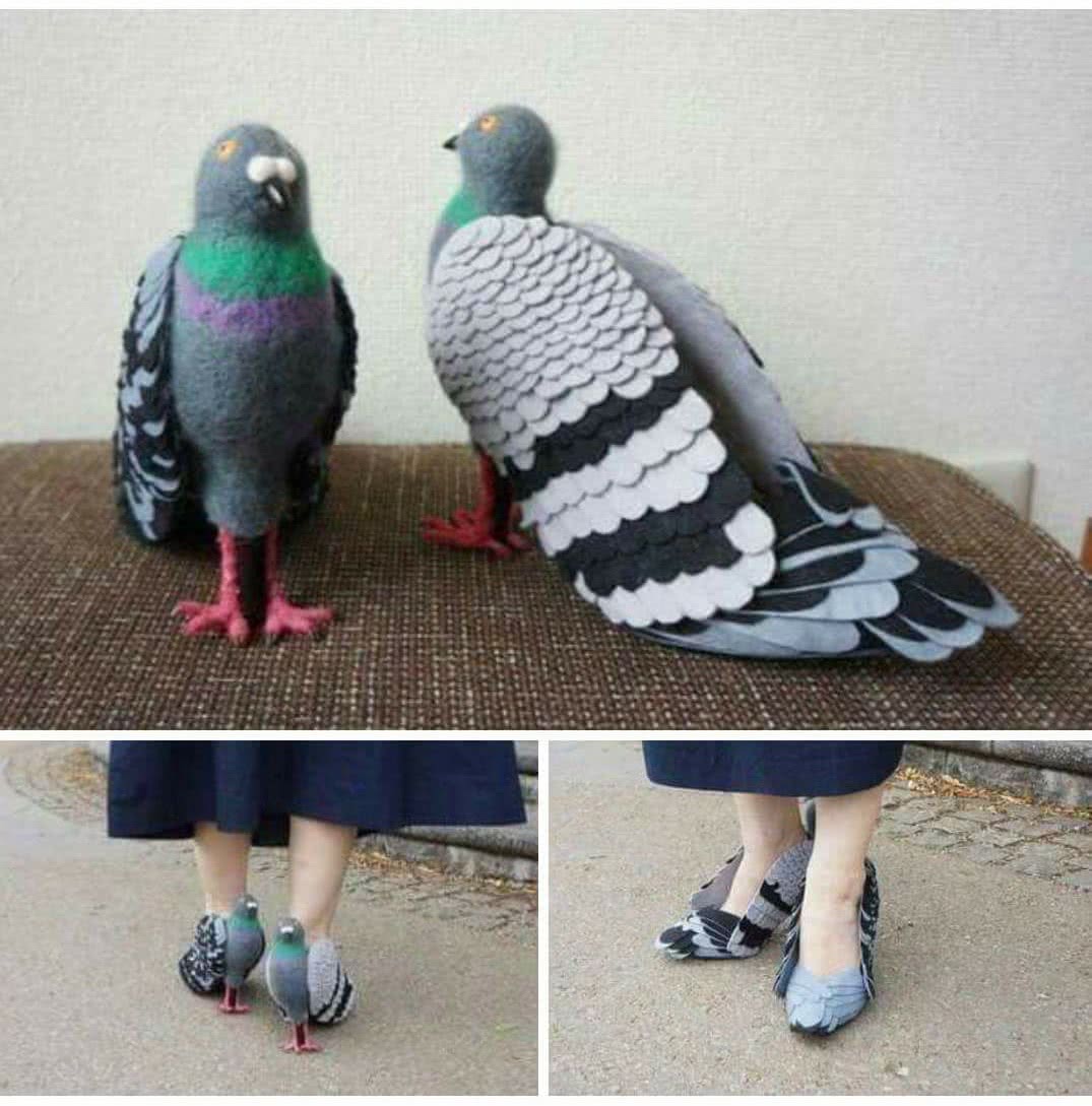 Les chaussures à talon en forme de pigeon