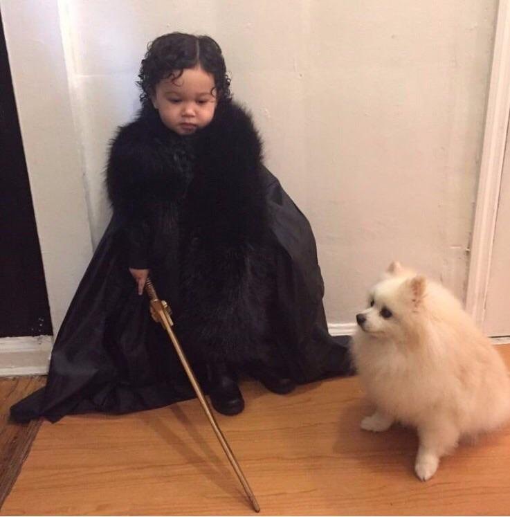 Mini Jon Snow et son loup Ghost