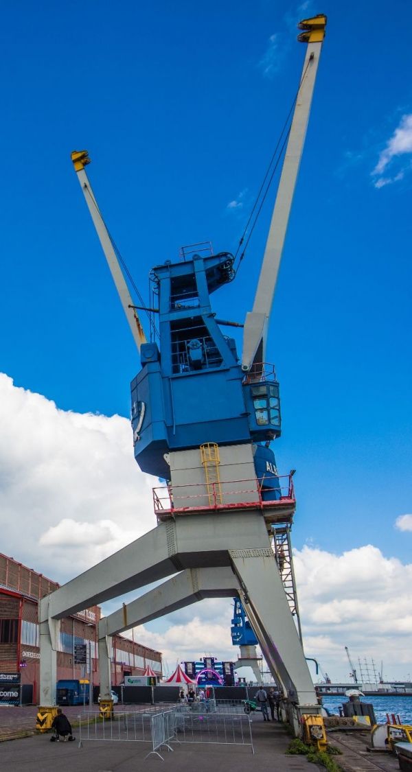 insolite grue pose victoire