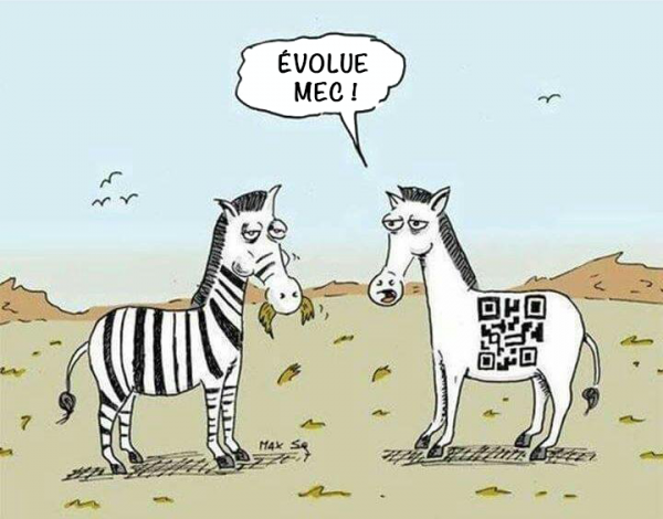 insolite barre code evolution qrcode zebre