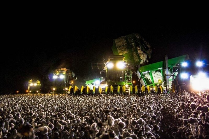 insolite champ coton machine nuit recolte