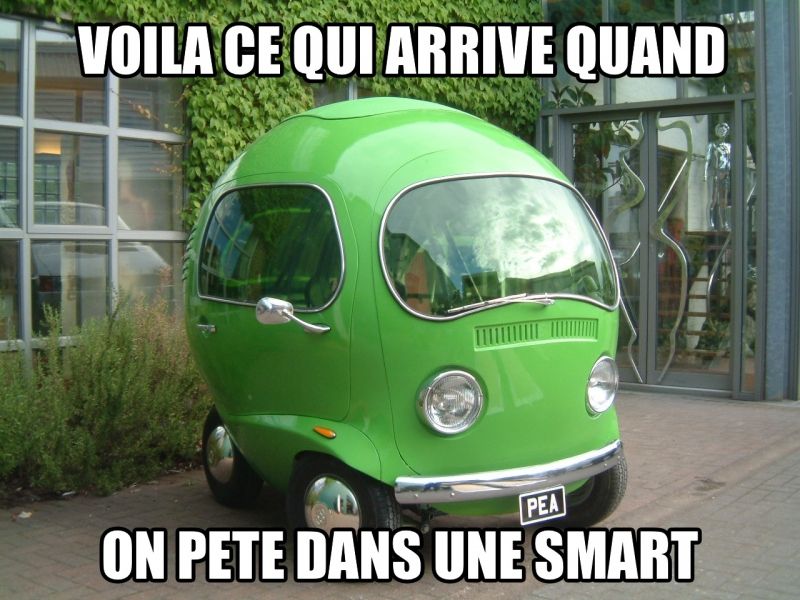 insolite asylum car pea pet smart voiture