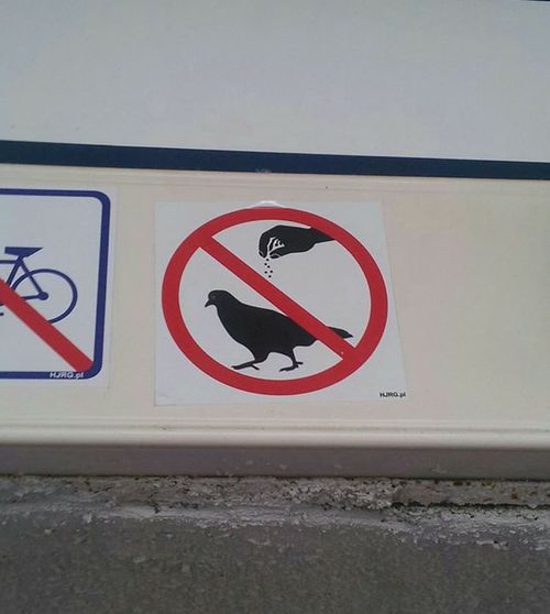 Merci de ne pas assaisonner les oiseaux
