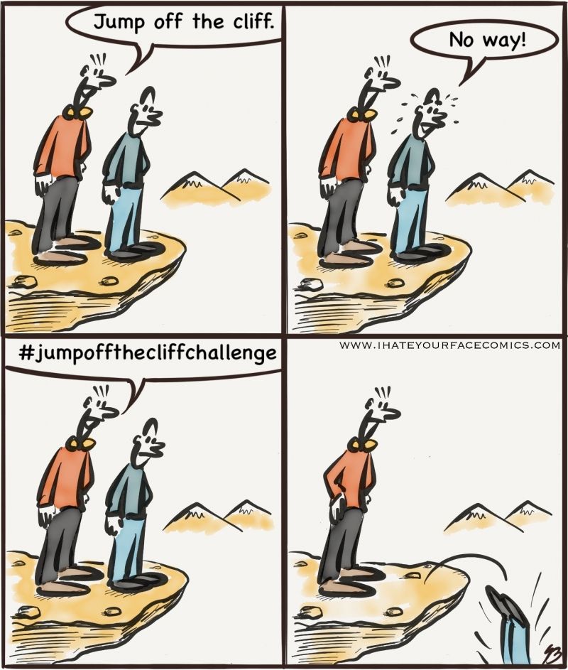 insolite challenge defi falaise saut