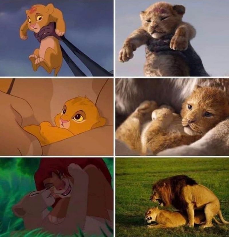 insolite comparaison film lion roi