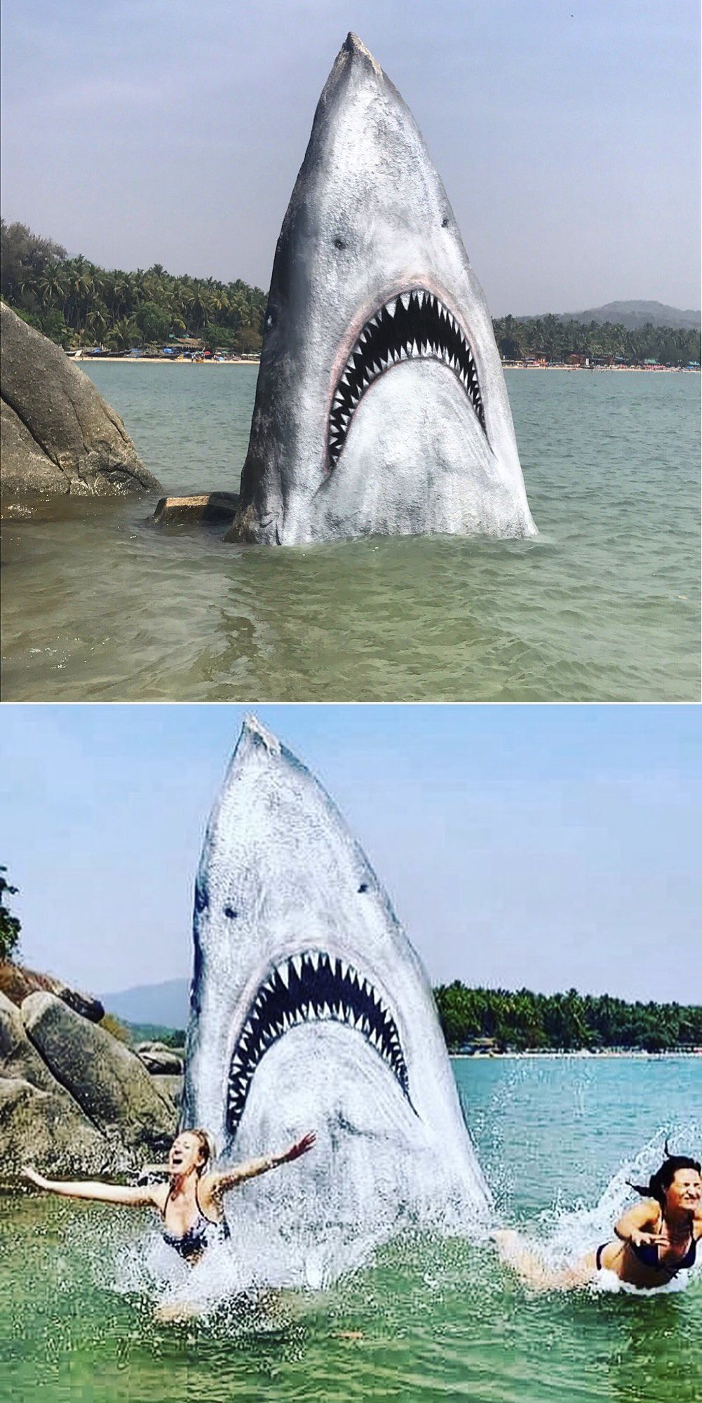 Un artiste transforme un rocher en requin