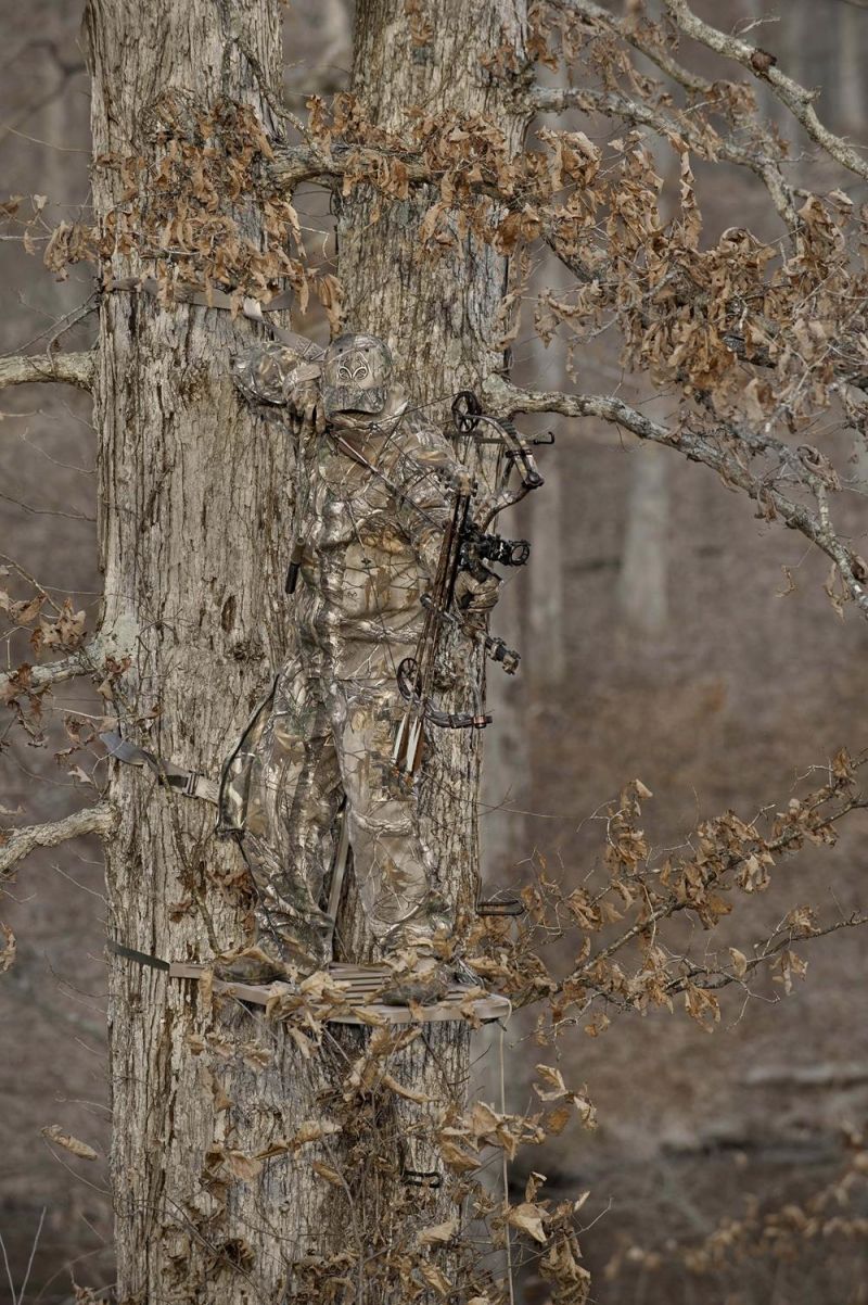insolite arbre arc camouflage chasseur