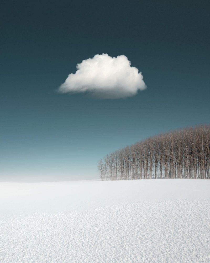 insolite arbre neige nuage paysage