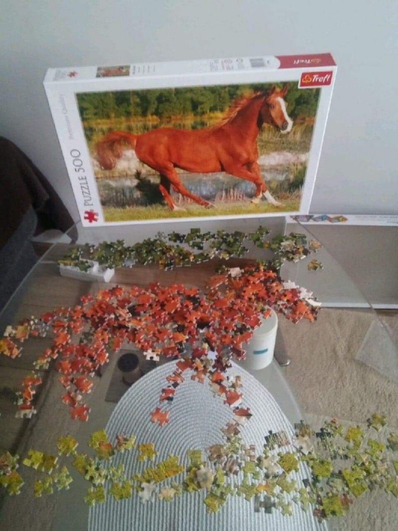 insolite 500 cheval piece puzzle