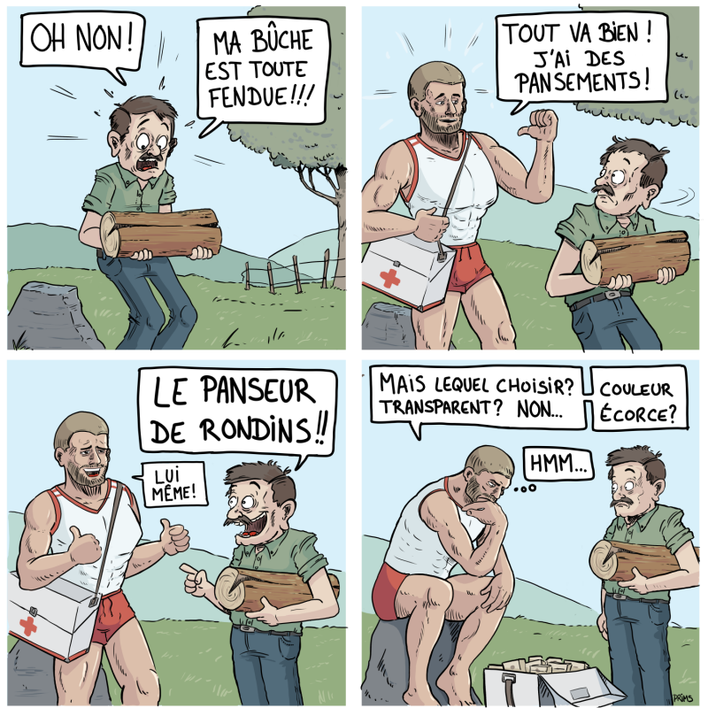 insolite bd bois panseur penseur prims rodin rondin