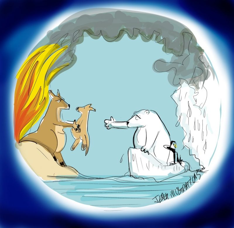 insolite australie feu iceberg incendie kangourou ours polaire