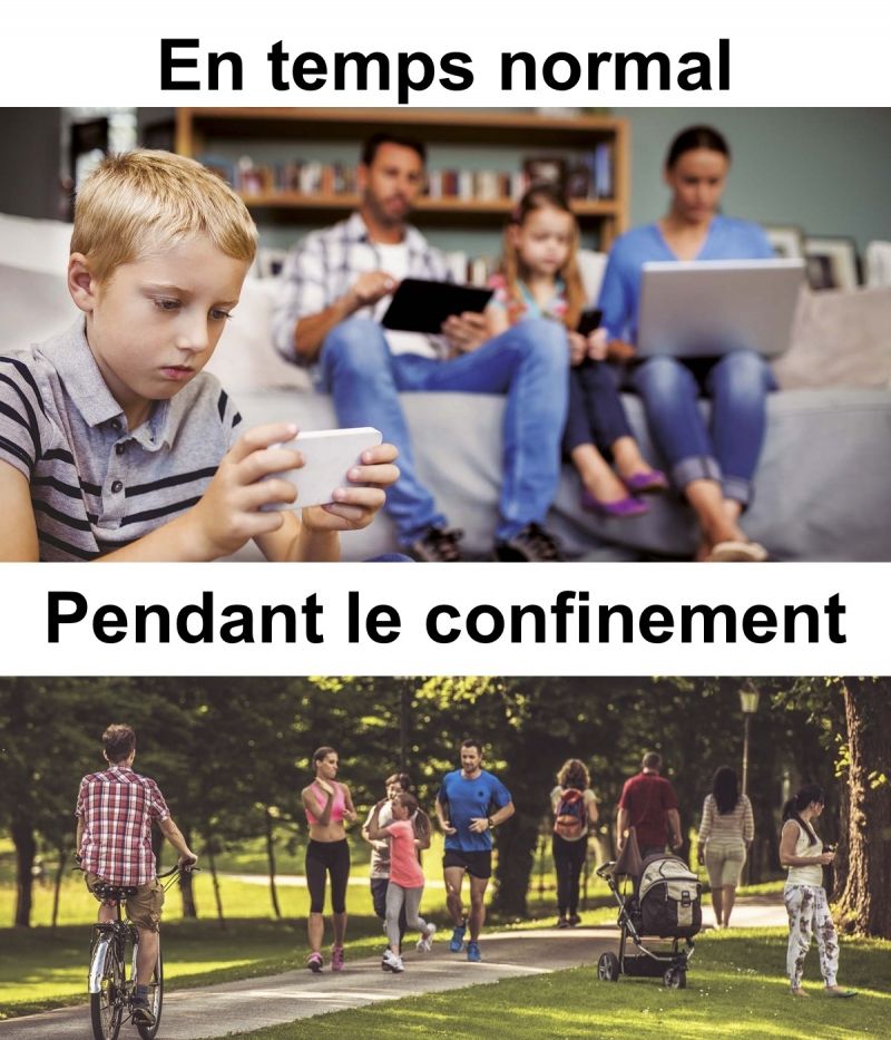 insolite confinement coronavirus