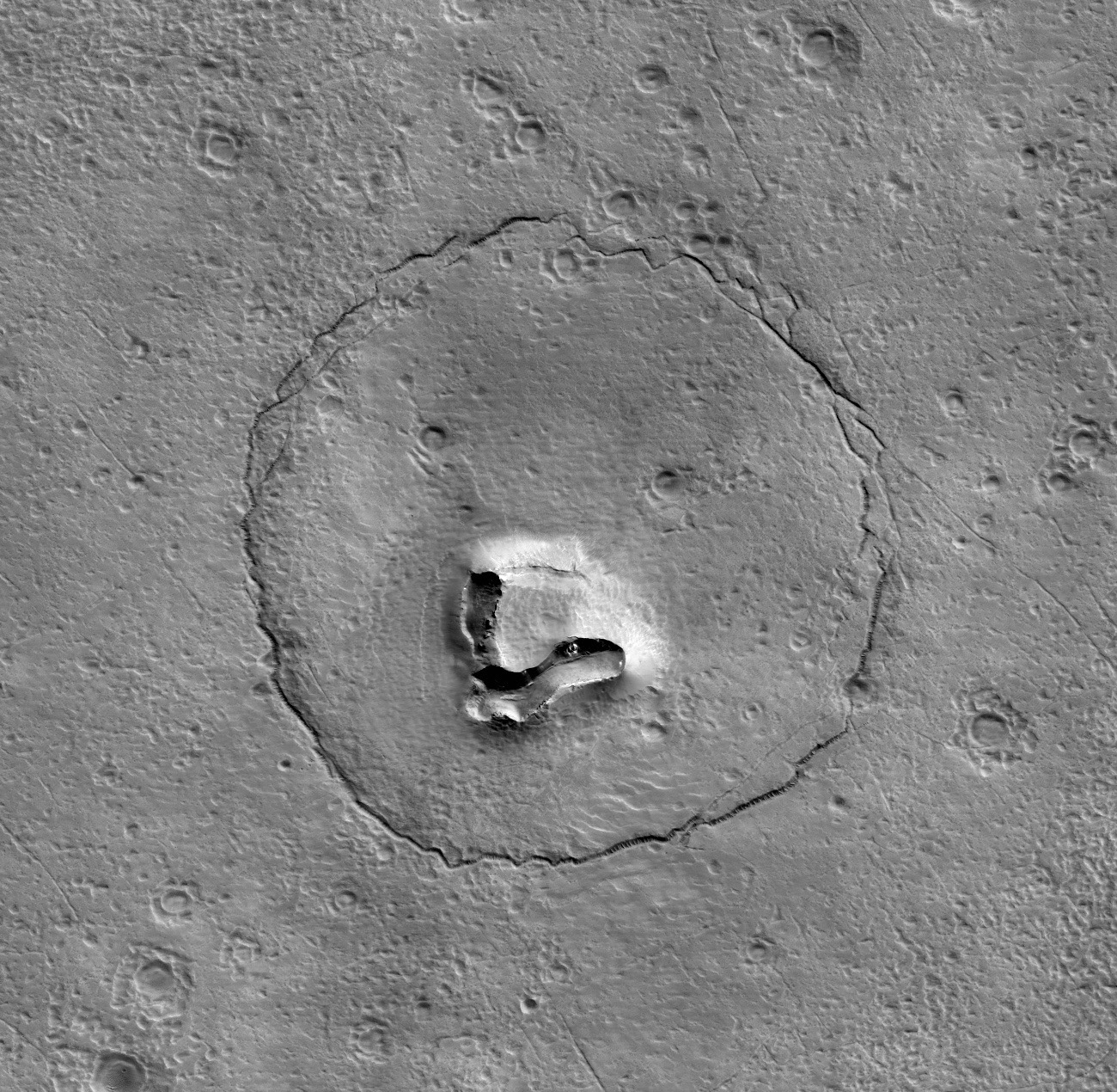 Une tête d'ours sur la surface de Mars