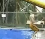 backflip Flip à la piscine