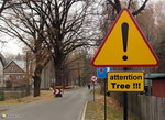 attention Attention à l'arbre !