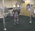 humanoide marche Dexter le robot qui marche