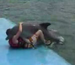 vidéo dophin obsédé simulation acte sexuel