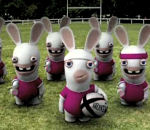 rugby Le haka des lapins crétins