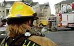 pompier chat Mon sauveur