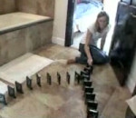 xbox Domino avec  1500 disques durs