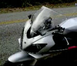 moto collision Moto vs Biche