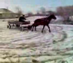 derapage drift cheval Drift en carriole