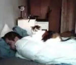 simon Dormir avec un chat