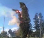 explosion feu Un arbre s'electrocute