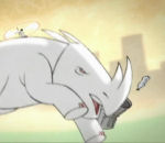 rhinoceros Born in Captivity