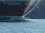 eau bateau Un caribou nage devant un bateau