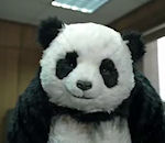 panda Ne dites pas non au panda