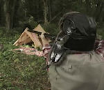 vidéo ours chasseur tippex