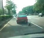laisse Un chien trainé par une voiture