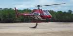 helicoptere Un crocodile attaque un hélicoptère