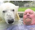 canada ours piscine L'homme et l'ours polaire