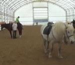 ruade Sauter sur un cheval par derrière