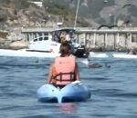 kayak Rencontre avec une baleine en kayak