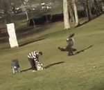 fake Un aigle royal attaque un enfant