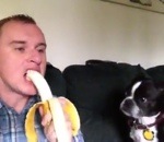 banane Partager une banane avec son chien