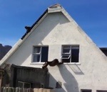 invasion Des babouins pillent une maison