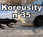 koreusity zapping insolite Koreusity n°35