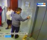 ascenseur Un chien en laisse vs Ascenseur